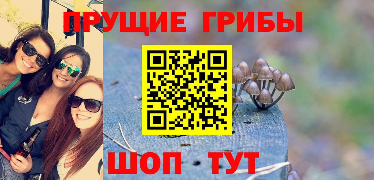 Псилоцибиновые грибы MAGIC MUSHROOMS  Галлюциногенные грибы прущие грибы  Вход с VPN  Набережные Челны 